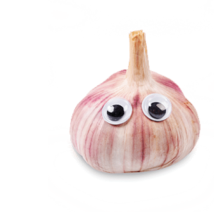 Garlic with googly eyes isolated on white background, Saved clipping path 