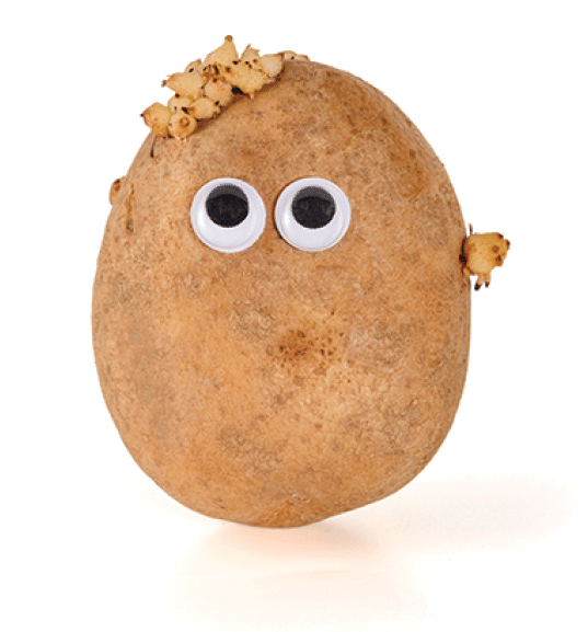 Googly eyes  Funny cute brown mister Fresh Potato isolated on white background 